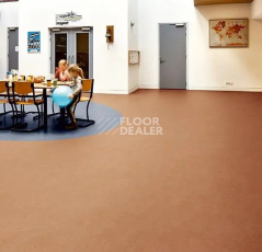 Forbo Eternal Original 68762 papaya фото 2 | FLOORDEALER